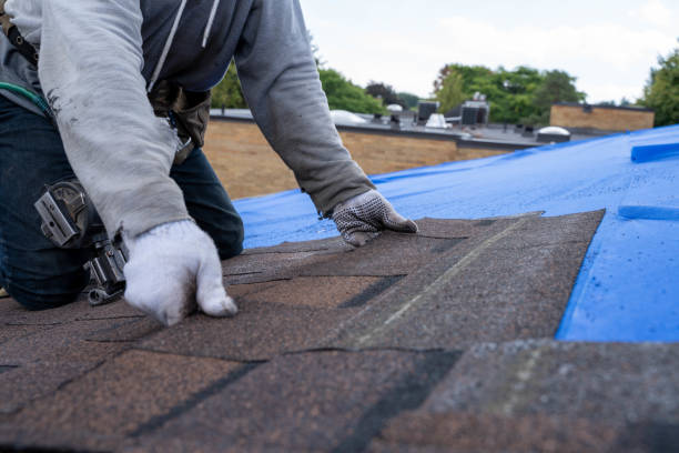 Best Residential Roofing Contractor  in Storrs, CT